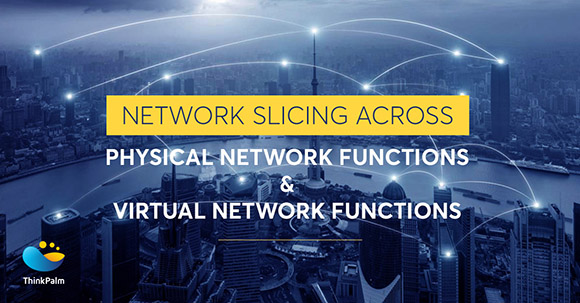 Physical Network Functions and Virtual Network Functions