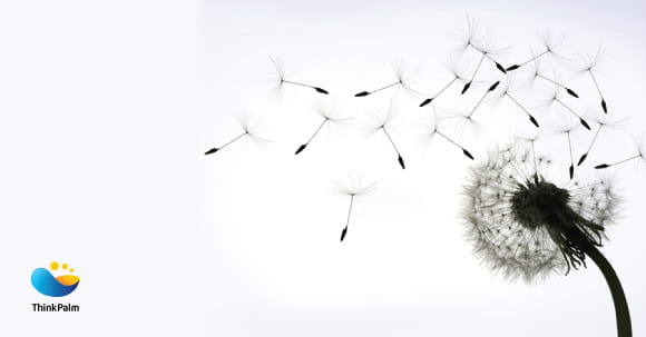 ThinkPalm - Resilient, Adaptive and Soaring Collectively