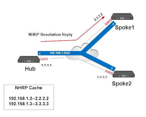 Dynamic Multipoint Virtual Private Network
