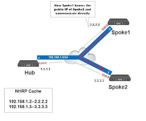 Dynamic Multipoint Virtual Private Network