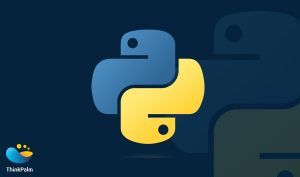 Which Are The Top 6 In-Demand AI Programming Languages In the US? | 1. Python