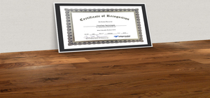 Most Valuable Partner Award