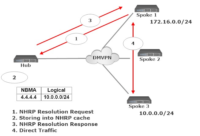 Dynamic Multipoint Virtual Private Network