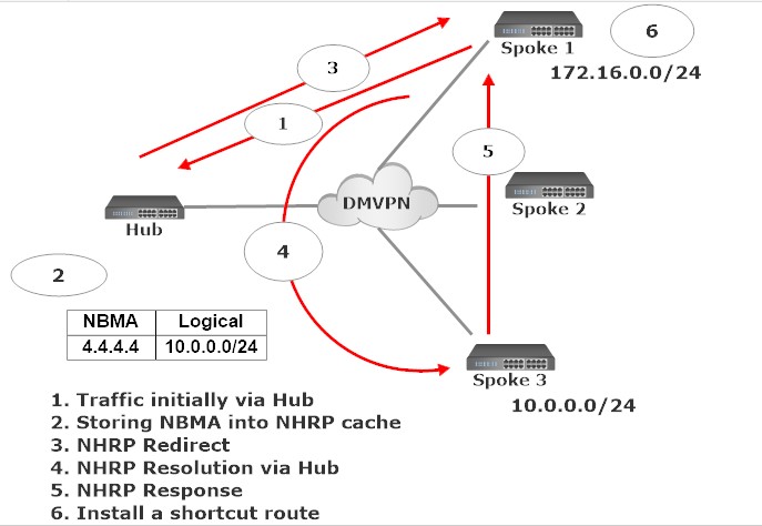 Dynamic Multipoint Virtual Private Network