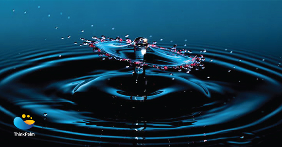 Ripple Effect - Disrupt, Connect and Expand