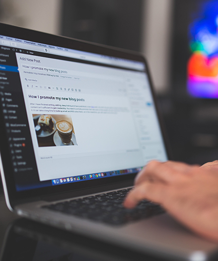 WEB APPLICATION DEVELOPMENT_IMG